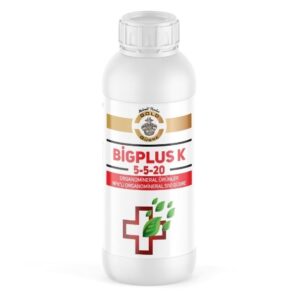 BİG PLUS K 5-5-20